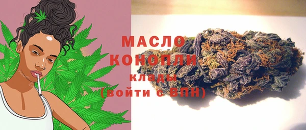 твердый Ветлуга
