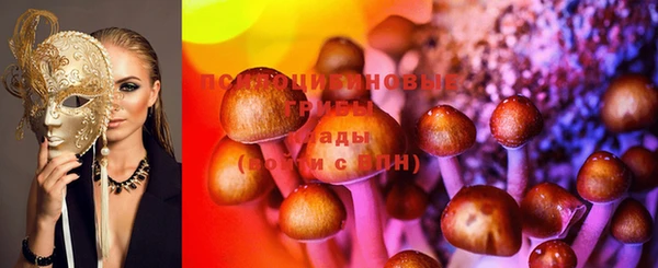 2c-b Осташков