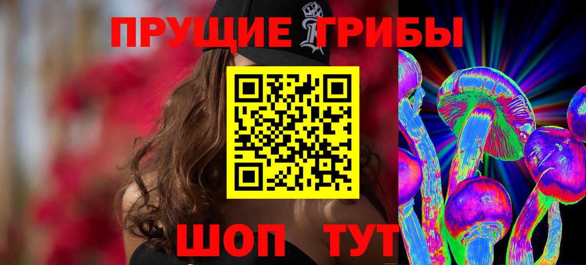 Псилоцибиновые грибы Psilocybe Черкесск