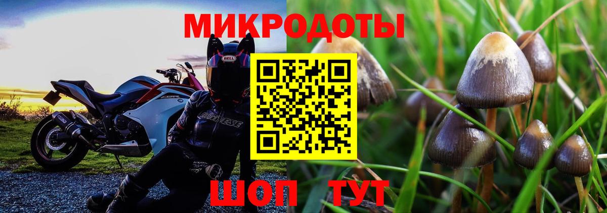 Черкесск  Псилоцибиновые грибы мухоморы  Вход с VPN  Псилоцибиновые грибы ЛСД 
